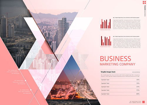 創(chuàng)意商務(wù)科技互聯(lián)網(wǎng)企業(yè)業(yè)務(wù)產(chǎn)品推廣宣傳畫冊排版設(shè)計