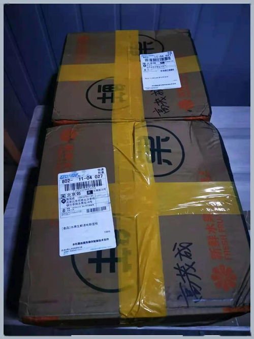 北京啟智 愛心篇